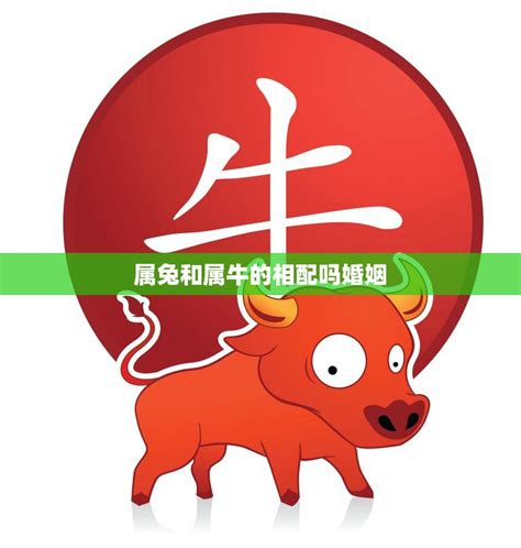 牛兔相配|牛和兔相冲吗 牛和兔在一起对谁不利